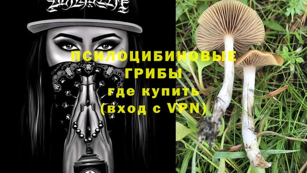 гидропоника Абаза
