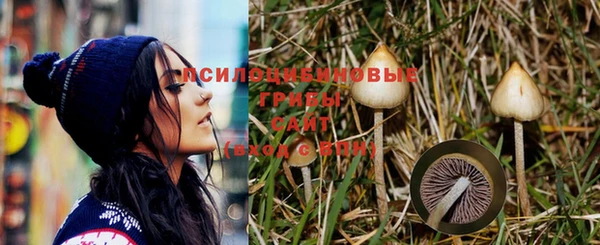 мескалин Абинск
