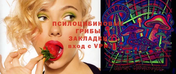 ECSTASY Рославль