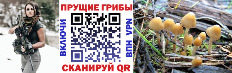 Галлюциногенные грибы Magic Shrooms  Ак-Довурак 